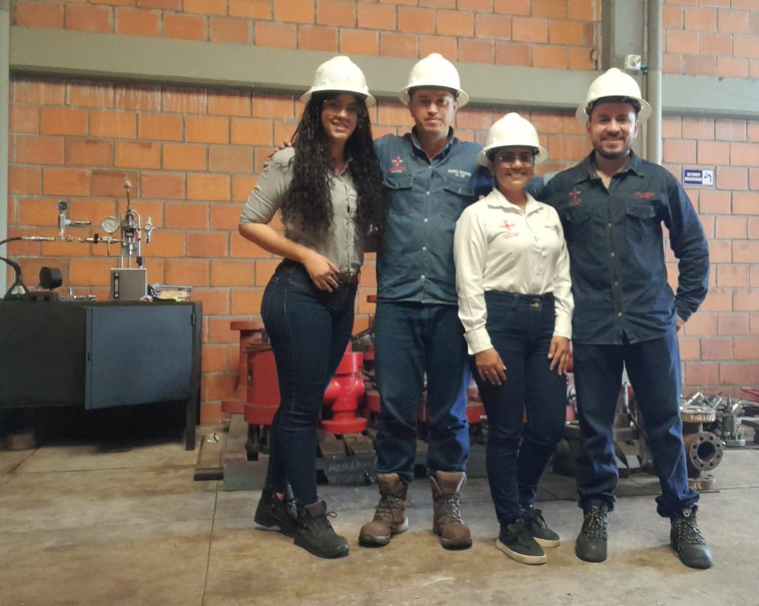 equipo well head